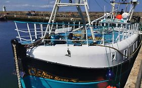 Nova Spero